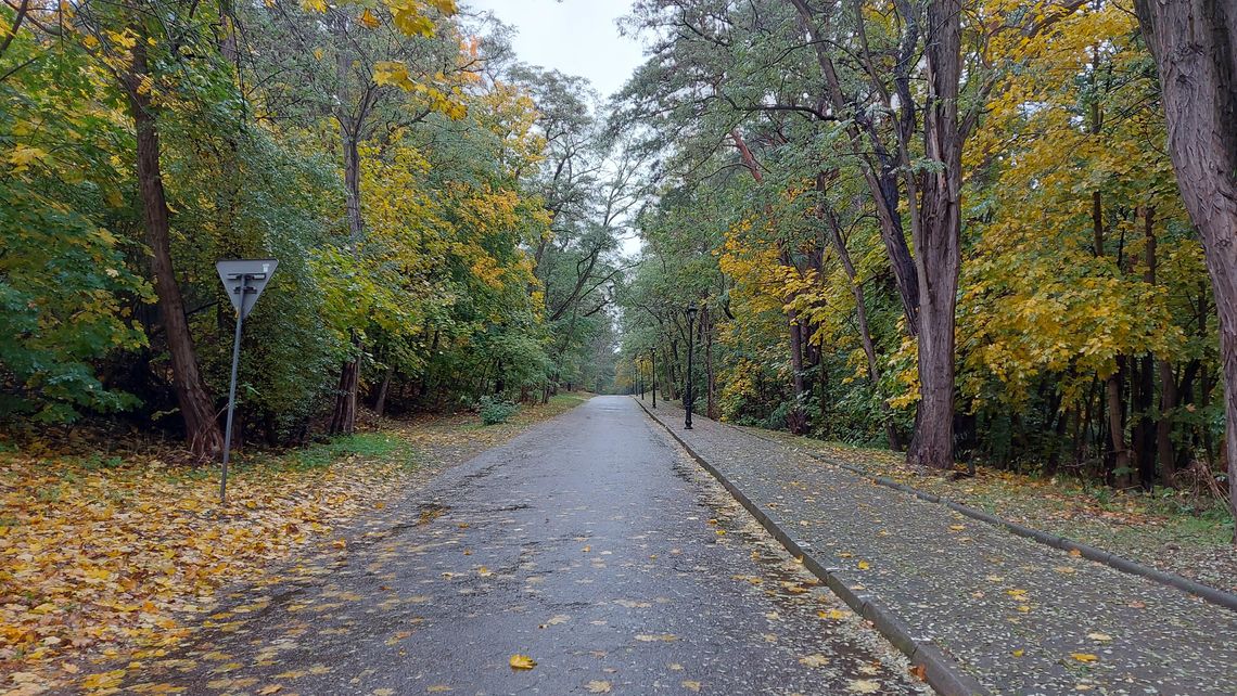 Bezpłatna Komunikacja Miejska w okresie Wszystkich Świętych