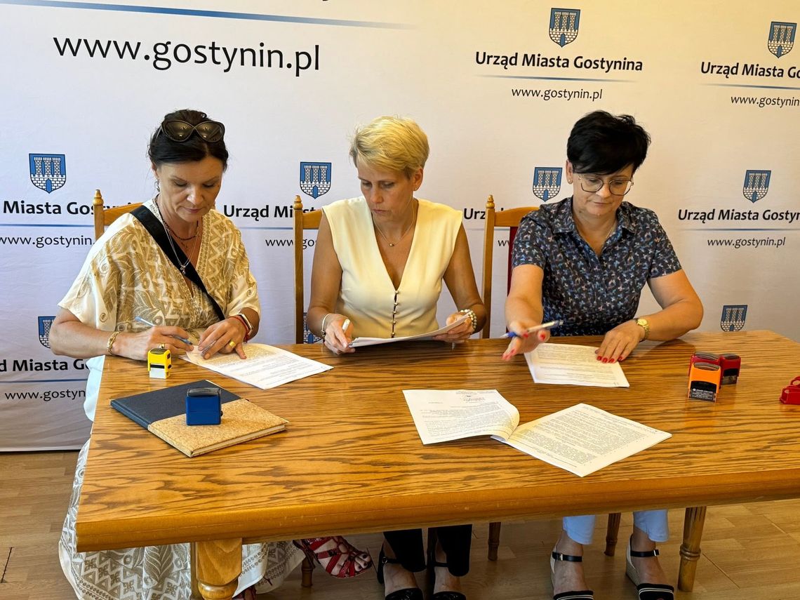 Boisko do padla i ścianka wspinaczkowa w Gostyninie