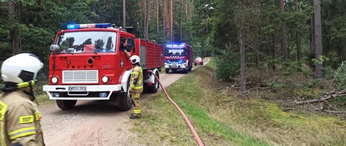 Ćwiczenia strażaków na terenie Nadleśnictwa Gostynin w Budach Lucieńskich [FOTO]