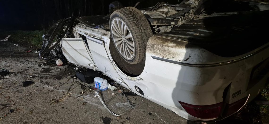 Dachowanie w Bielawach