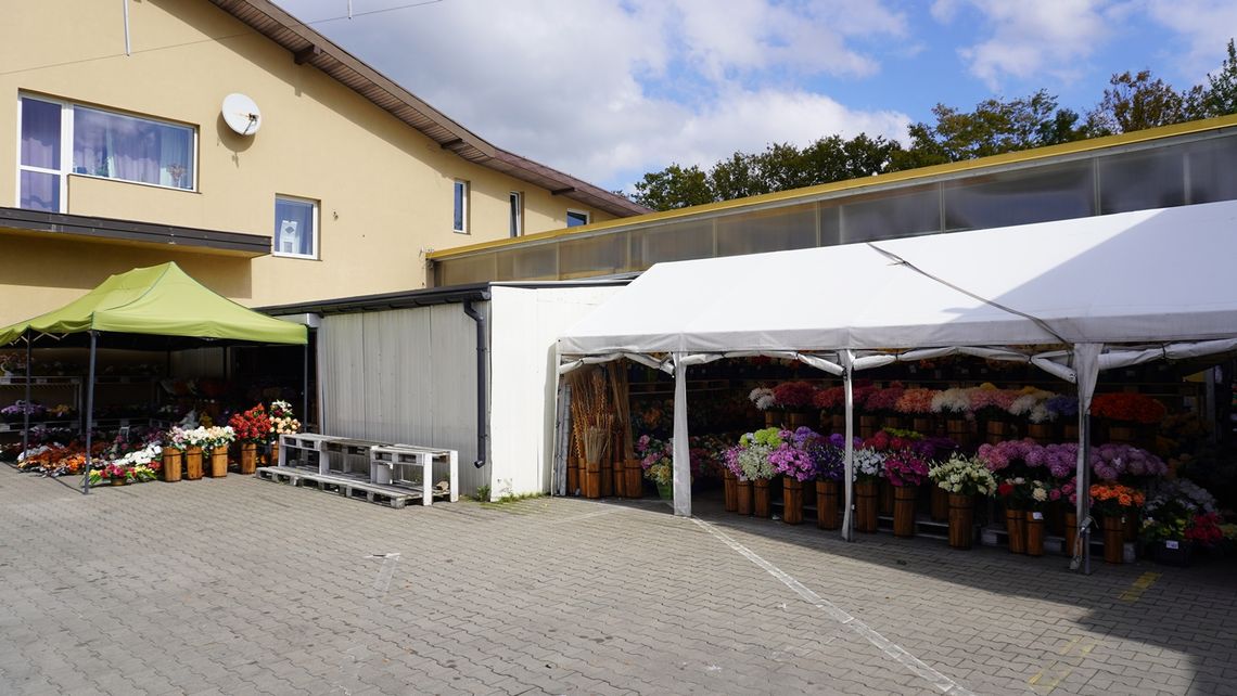Duży wybór zniczy i kwiatów w atrakcyjnych cenach – zaprasza Dawny Sklep Smyk