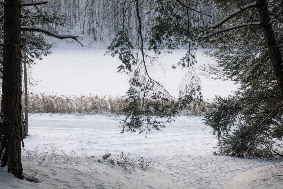Dziś ferie zimowe zaczynają uczniowie z ościennych województw