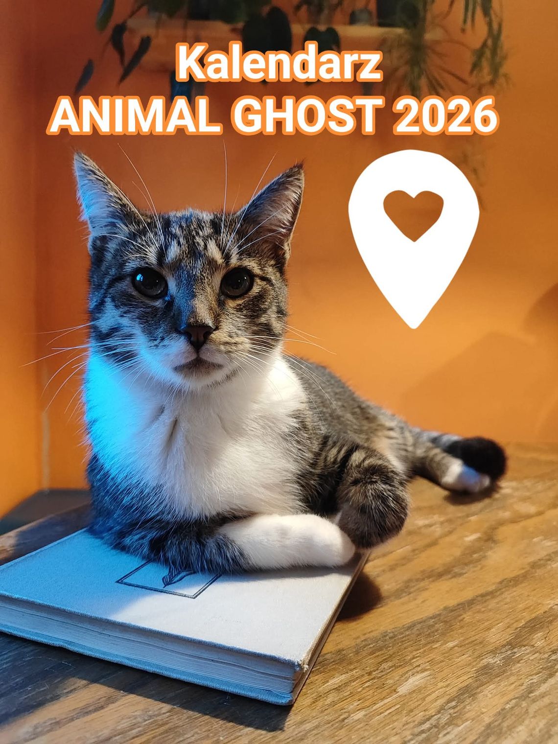 Kalendarz Animal Ghost 2026