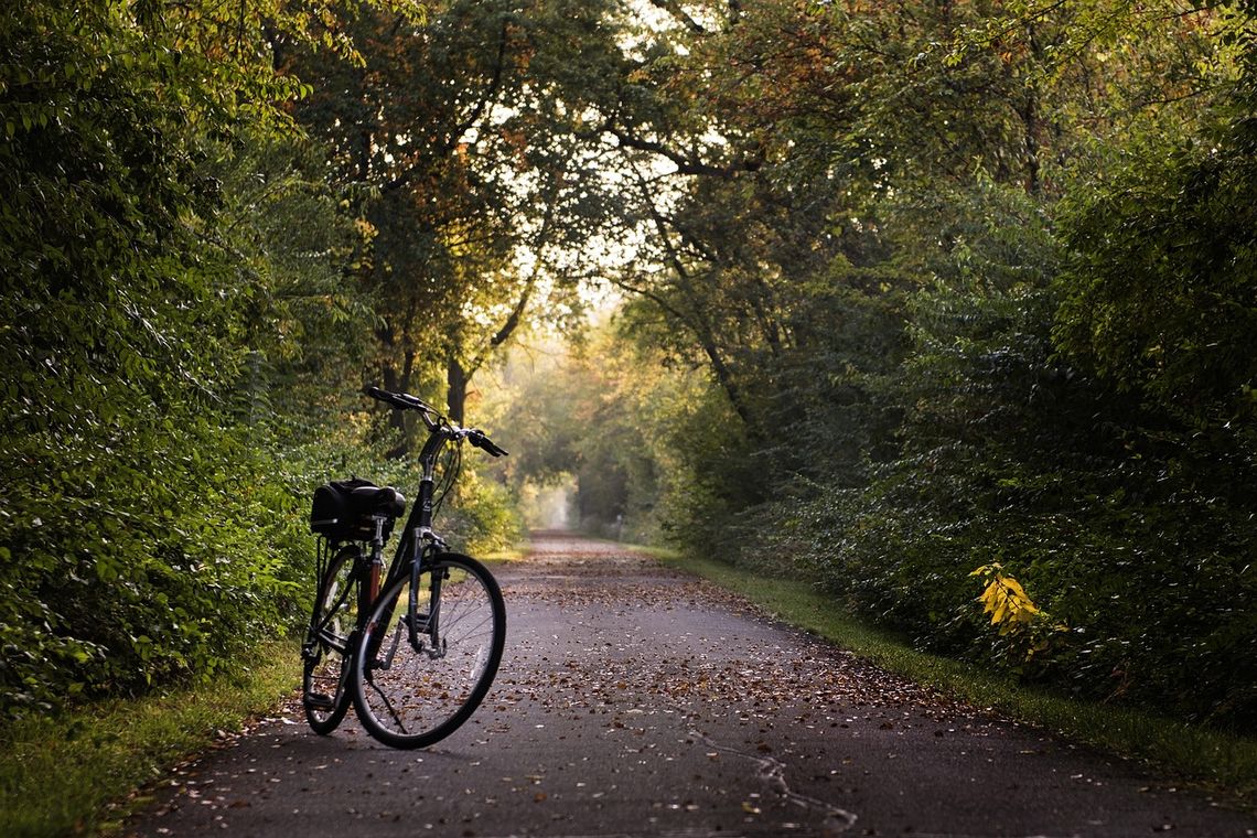 Pijany rowerzysta w Kowalu