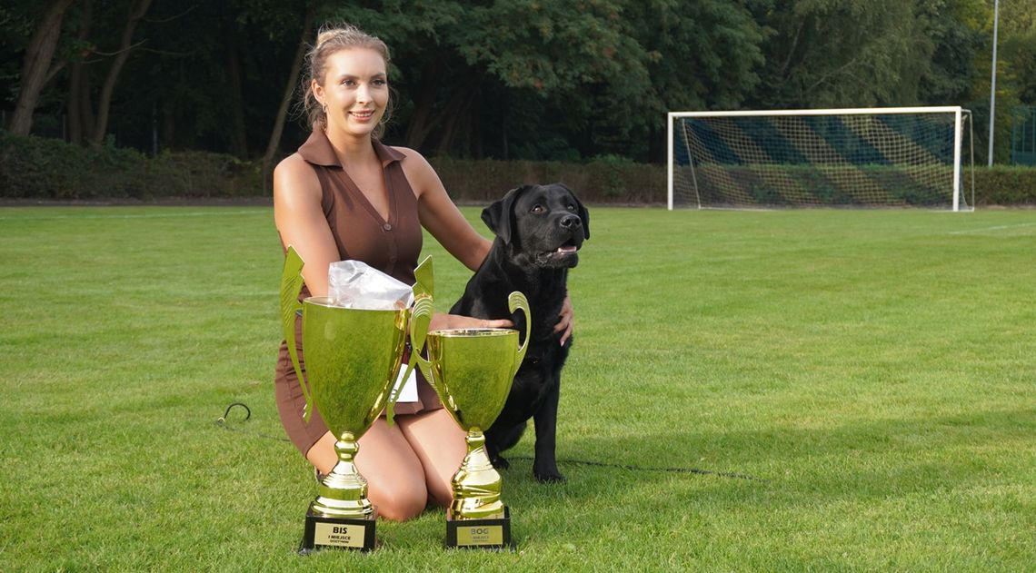 Labrador z Torunia zwycięzcą wystawy psów rasowych w Gostyninie [FOTO]