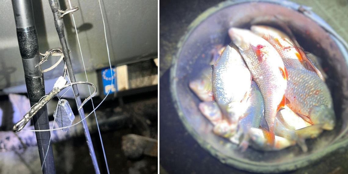 Łowili „na szarpaka”. Kolejne osoby usłyszały zarzuty za nielegalny połów ryb Łowili „na szarpaka”. Kolejne osoby usłyszały zarzuty za nielegalny połów ryb