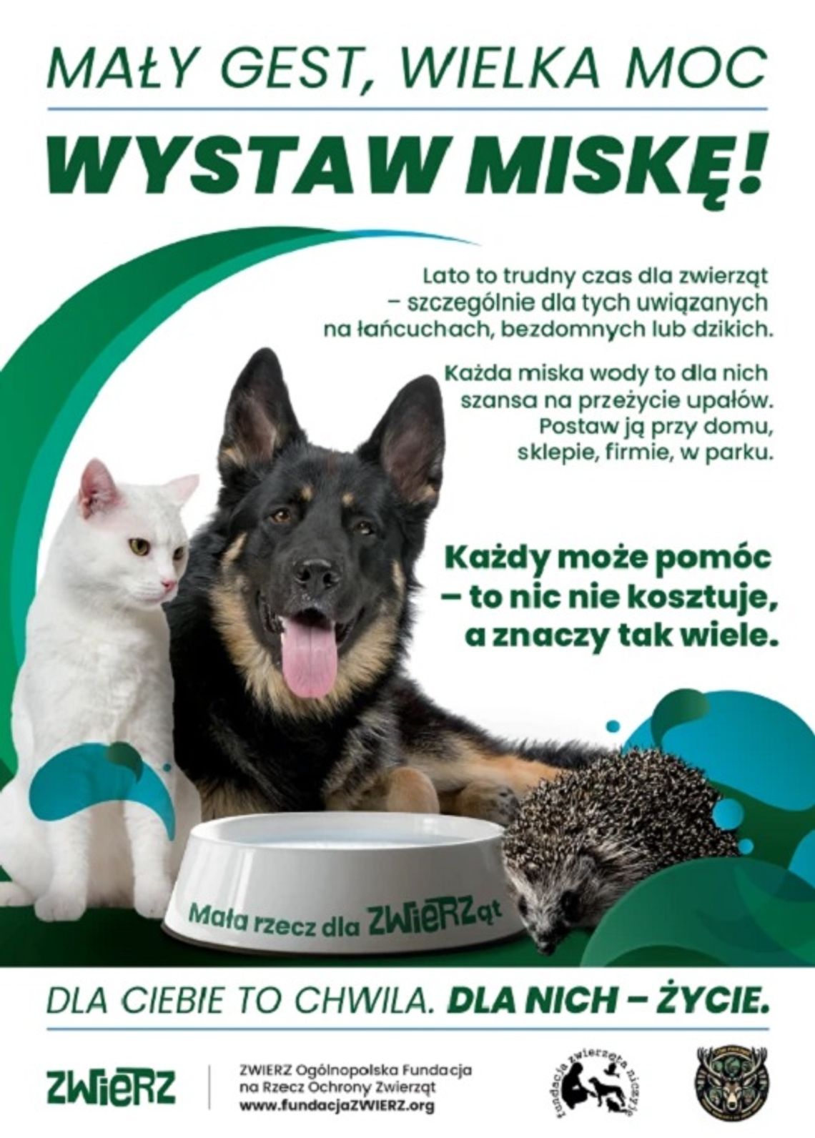 Mały gest, wielka moc