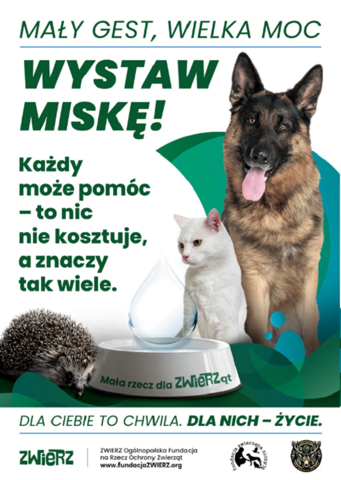 Mały gest, wielka moc – wystaw miskę. Pomóżmy zwierzętom przetrwać upały