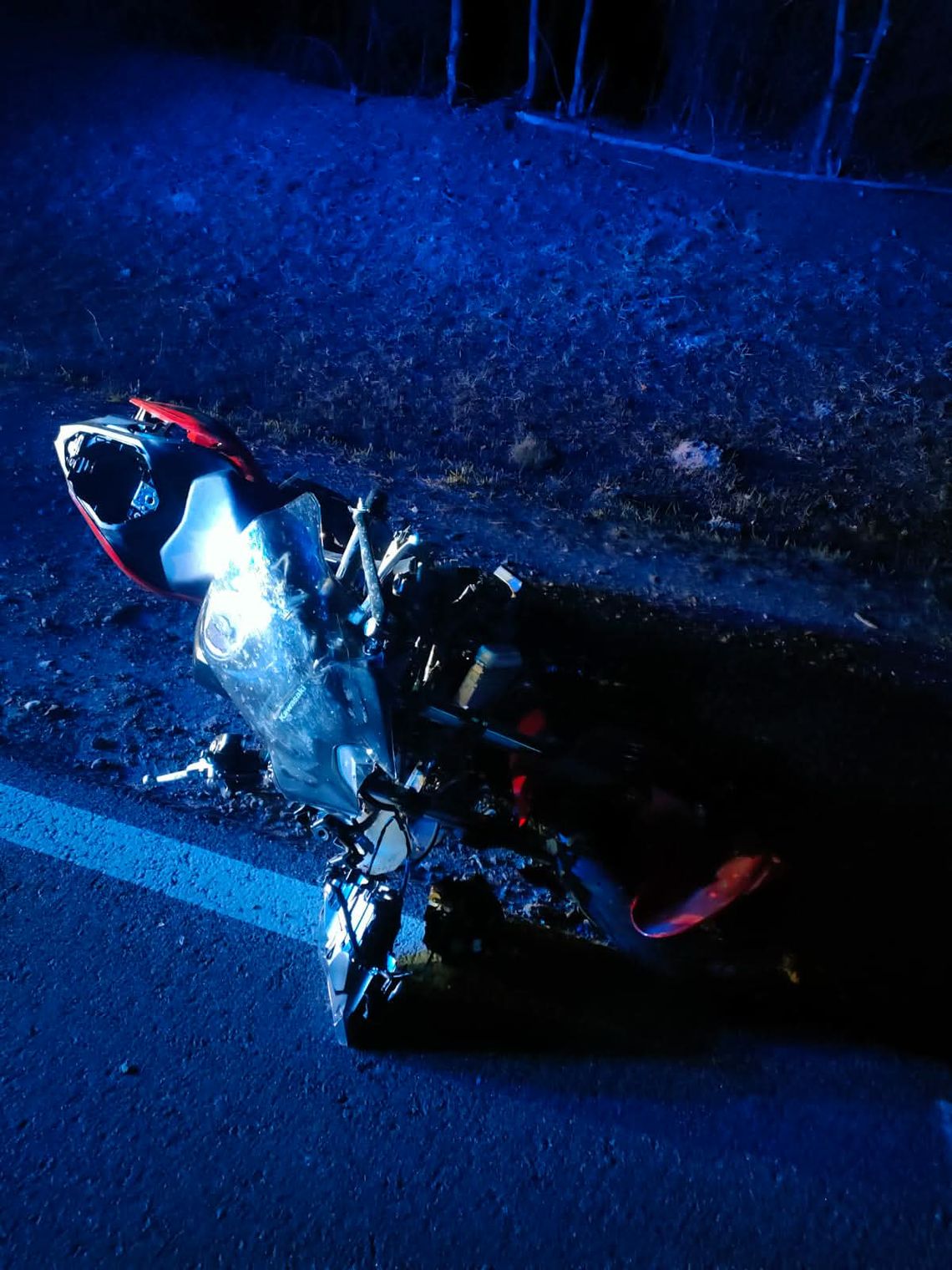 Motocyklistka zginęła po zderzeniu z łosiem