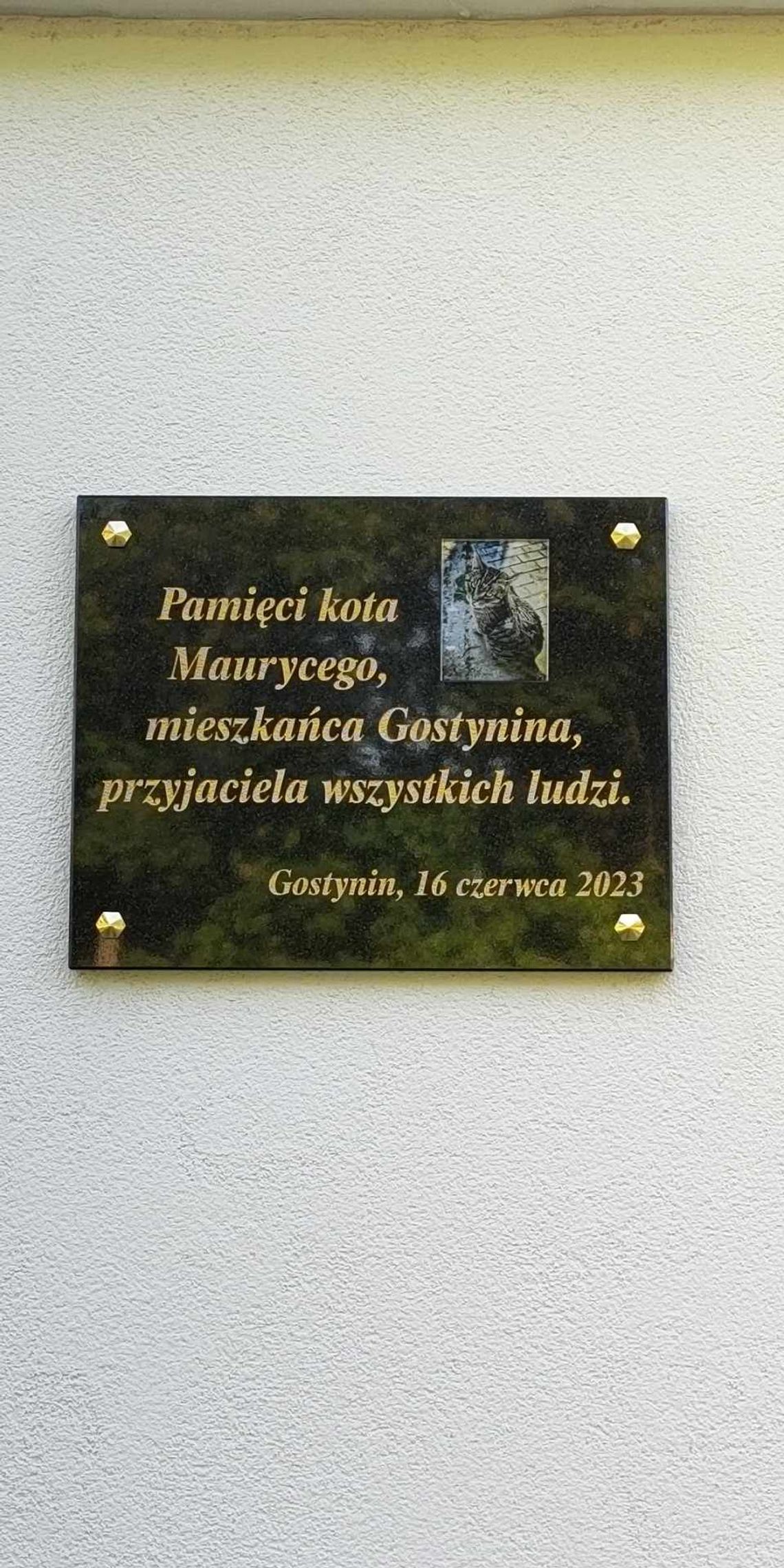 Na Polnej zawisła tablica dla kota Maurycego