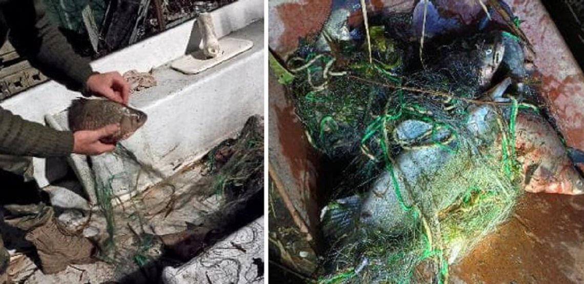 Nielegalny połów ryb. 47-latek usłyszał zarzuty Nielegalny połów ryb. 47-latek usłyszał zarzuty