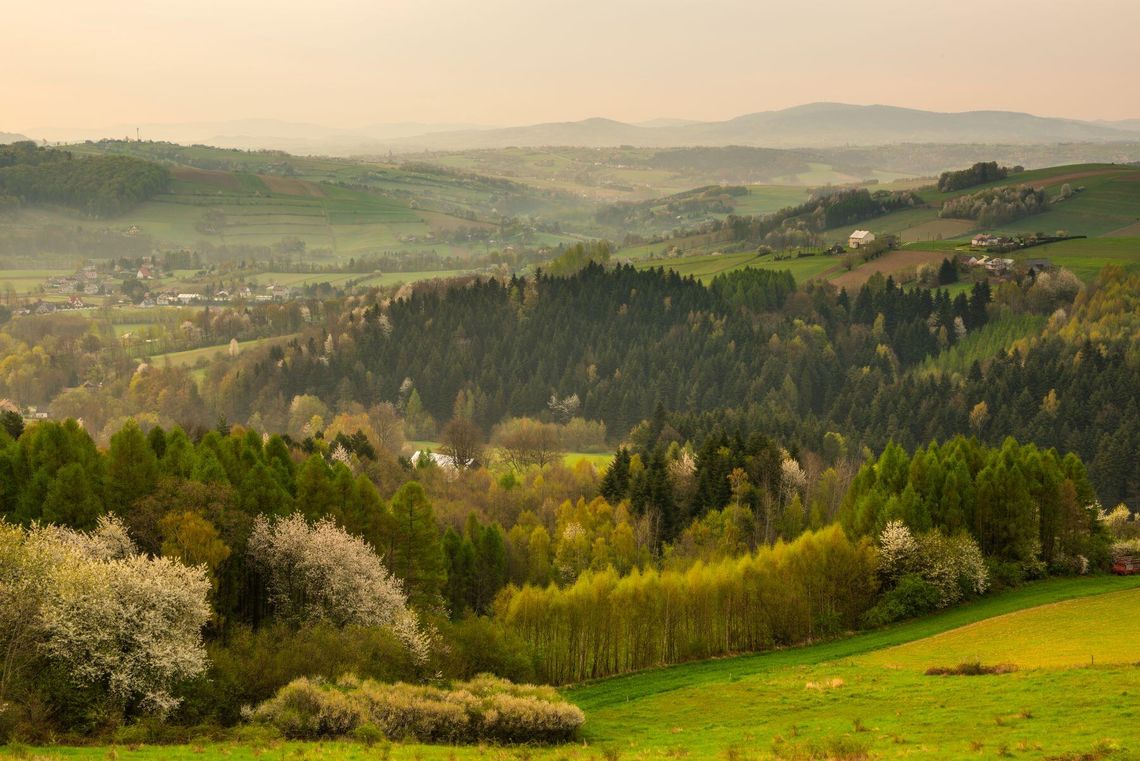 Ostatni dzwonek na rezerwację wakacji! Sprawdzamy, gdzie w Beskidach są jeszcze wolne noclegi
