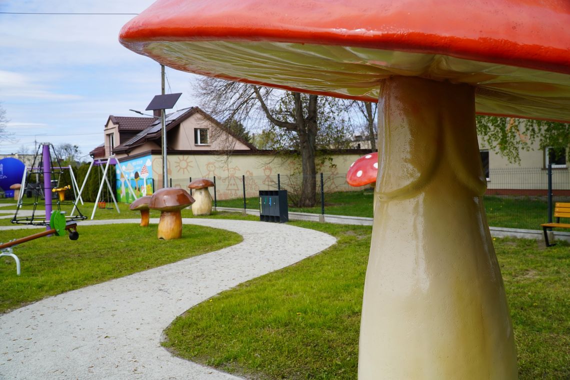 Park Grzybów w Gostyninie oficjalnie otwarty