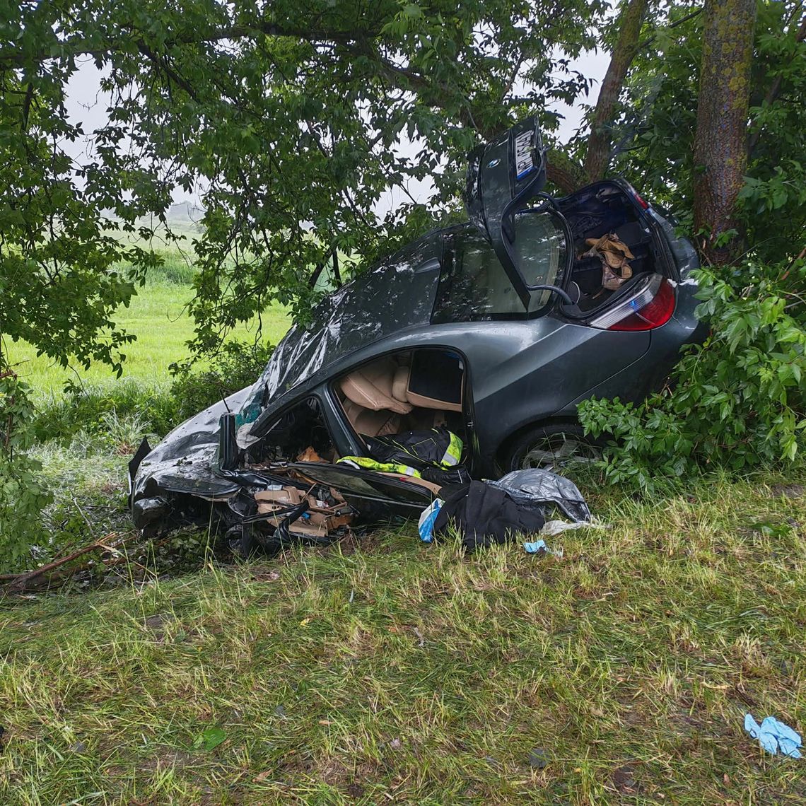 Płock: BMW uderzyło w drzewo. Kierowca walczy o życie Płock: BMW uderzyło w drzewo. Kierowca walczy o życie