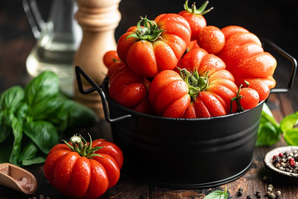 Pomidor w szklarni – sprawdź sadzonki i rozsadę dla każdego ogrodu!