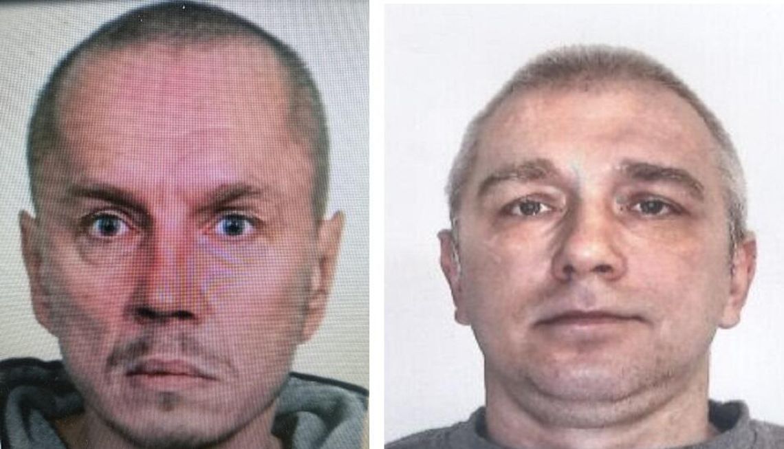 Poszukiwania zaginionych Poszukiwania zaginionych