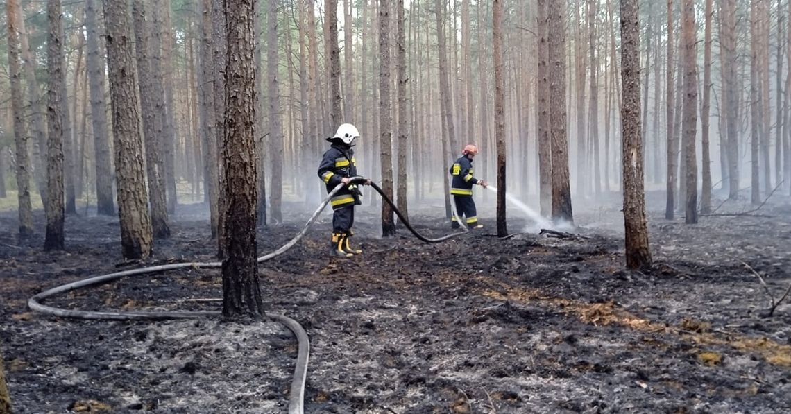 fot. OSP Szczawin Kościelny