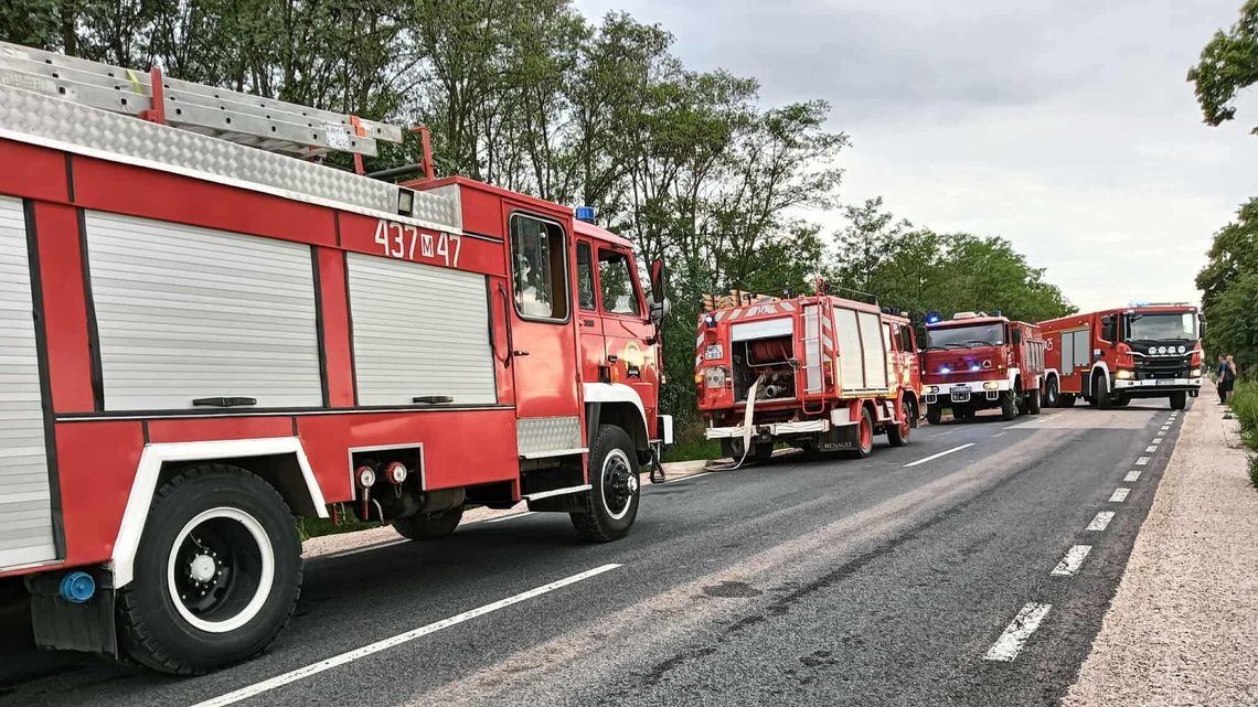 Pożar pryzmy gałęzi w Waliszewie [FOTO+VIDEO]