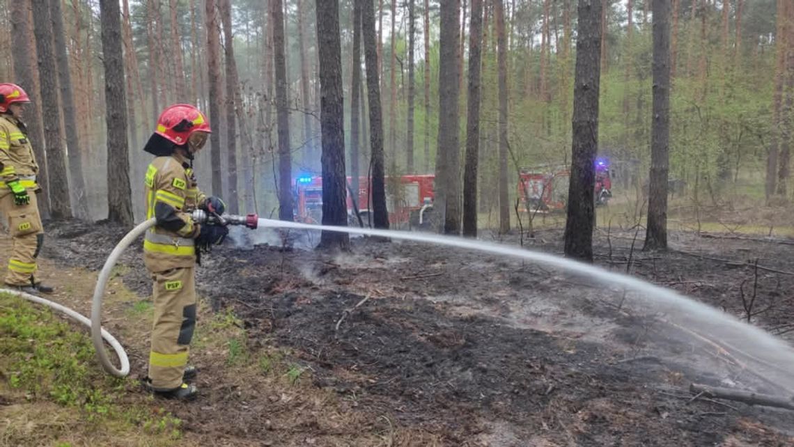 Pożary w okolicy Gorzewa