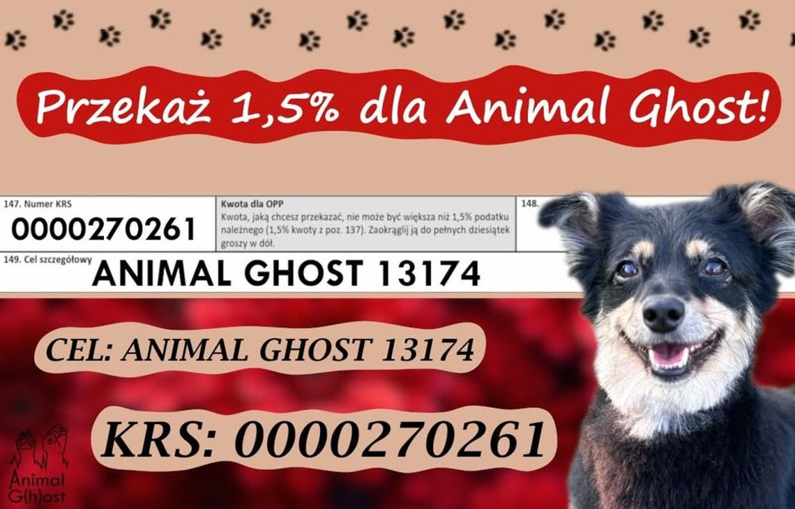 Przekaż 1,5 procent dla Fundacji Animal Ghost