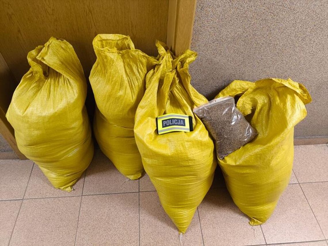 Przewoził nielegalny tytoń Przewoził nielegalny tytoń