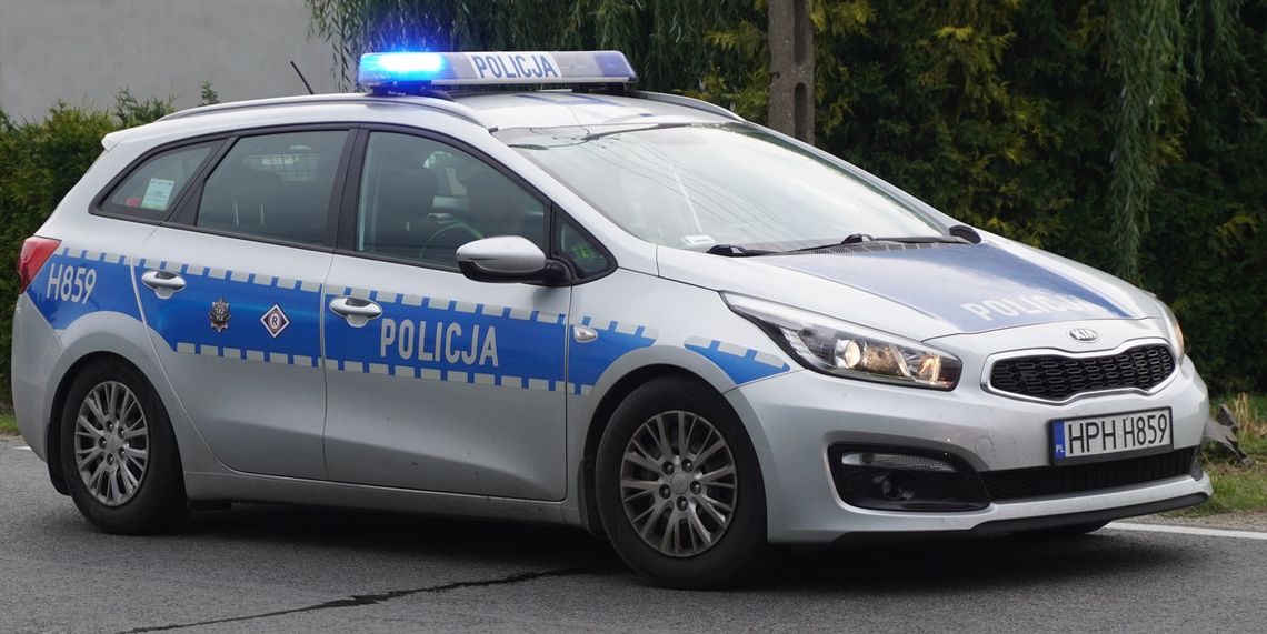 Sarna wbiegła pod samochód. Apel do kierowców po kolejnym zdarzeniu na drodze Sarna wbiegła pod samochód. Apel do kierowców po kolejnym zdarzeniu na drodze