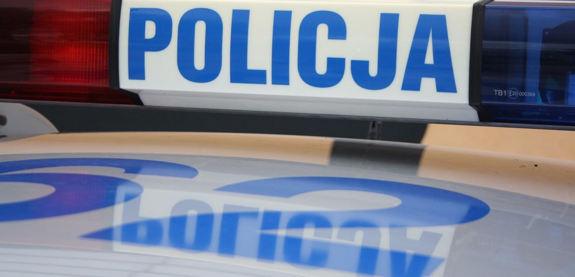 Tylko w minionym tygodniu płocka grupa SPEED ujawniła 44 wykroczenia