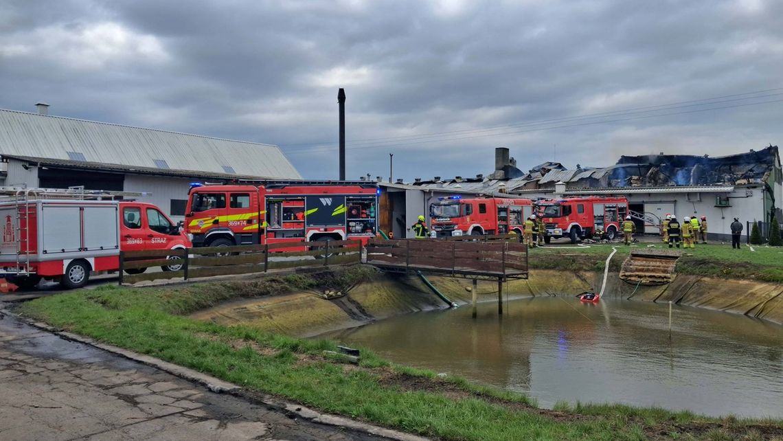 Wielki pożar hali pod Kowalem. Ponad 100 strażaków walczyło z ogniem