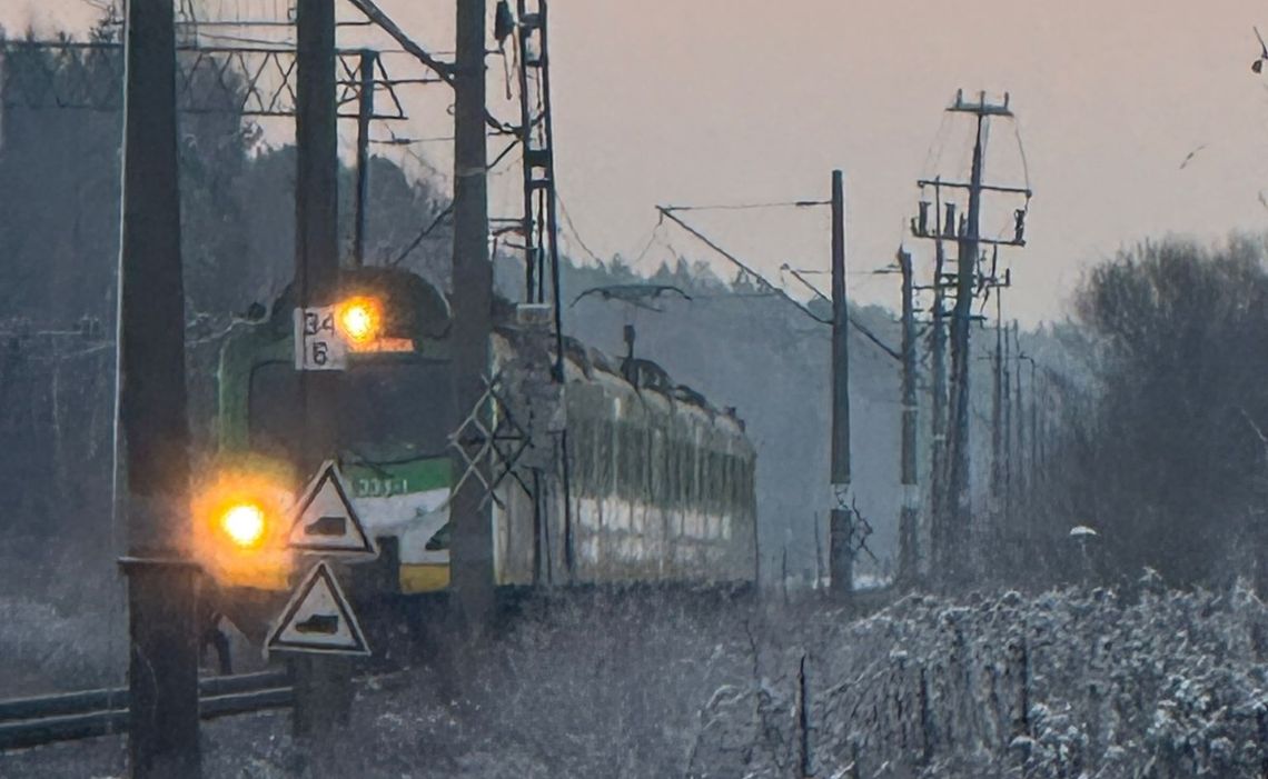 Zablokowane tory na odcinku Gostynin-Płock. Pociąg Kolei Mazowieckich uderzył w sarnę