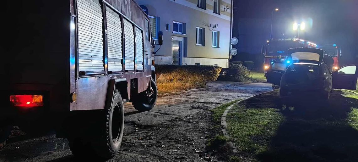 Zatrzymany sprawca podpalenia pojazdu w Luszynie – skuteczne działania gostynińskich policjantów