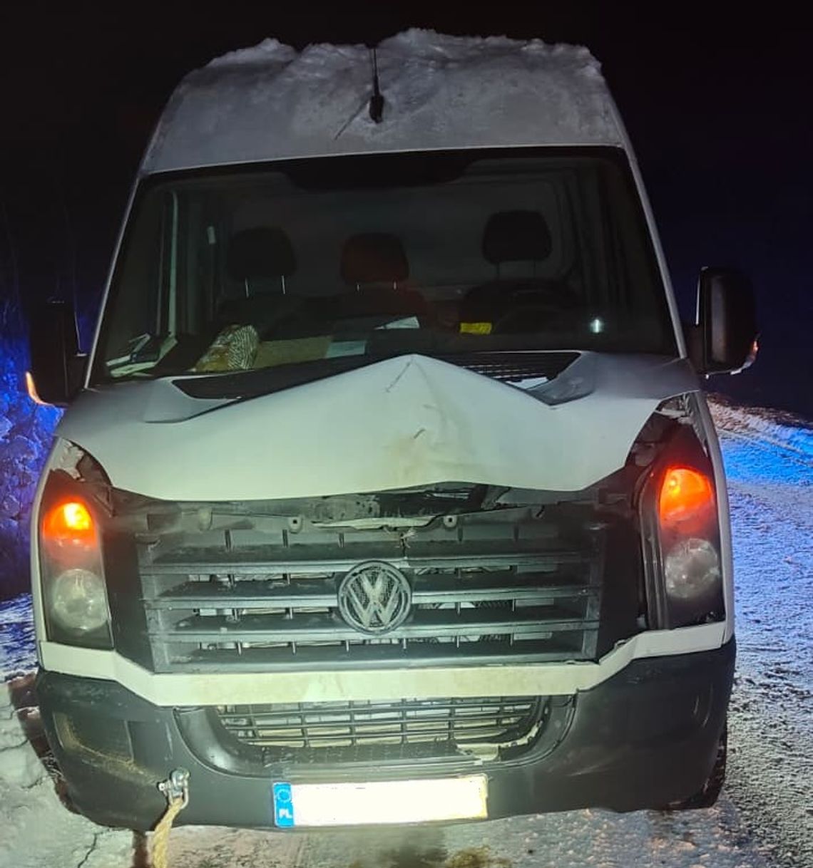 Zderzenie z łosiem na drodze Gostynin-Skrzany