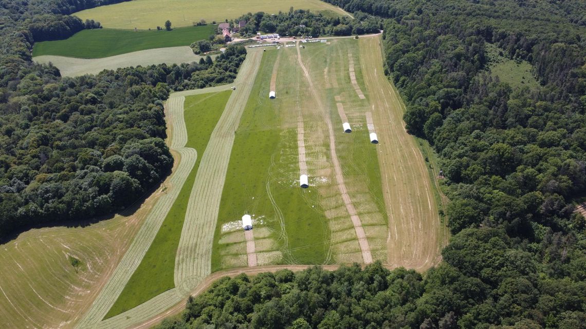 Życie na pastwisku – ekologiczna hodowla w Mikoszowie
