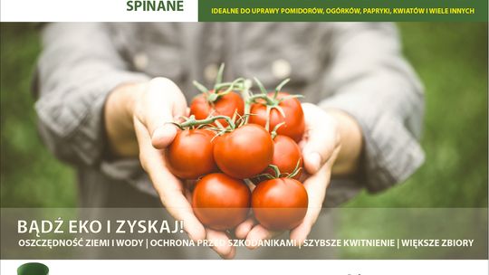 Cylindry do pomidorów – bestseller 2024
