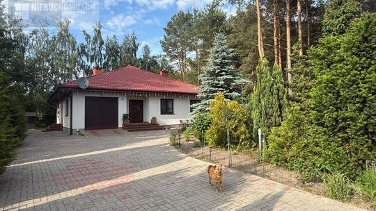 Dom w otoczeniu lasów i jezior - gdzie luksus spotyka się z naturą