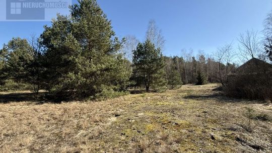 Działka z możliwością zabudowy blisko Gostynina