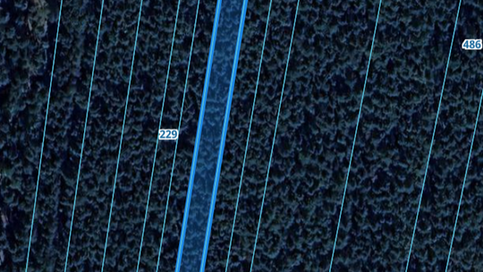 Las 2700 m2 w miejscowości Krzywie