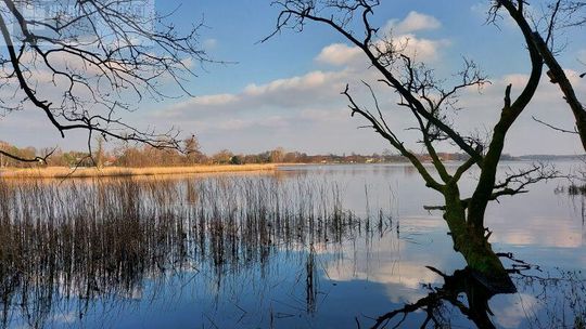 Piękne działki nad jeziorem Białym Piękne działki nad jeziorem Białym