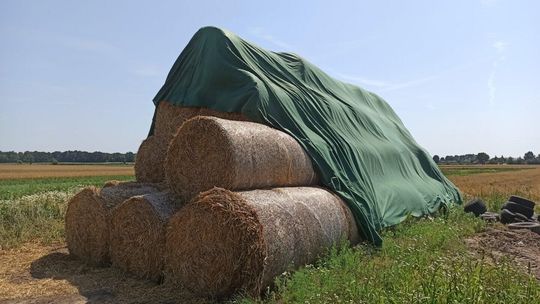 Słoma pszenżytnia "120" zeszłoroczna