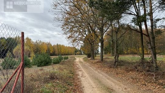 Urokliwa działka z możliwością zabudowy w otoczeniu lasów