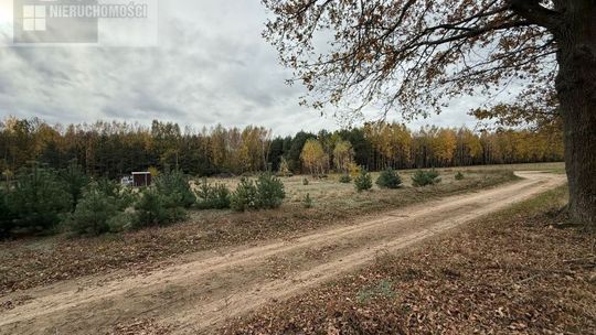 Urokliwa działka z możliwością zabudowy w otoczeniu lasów