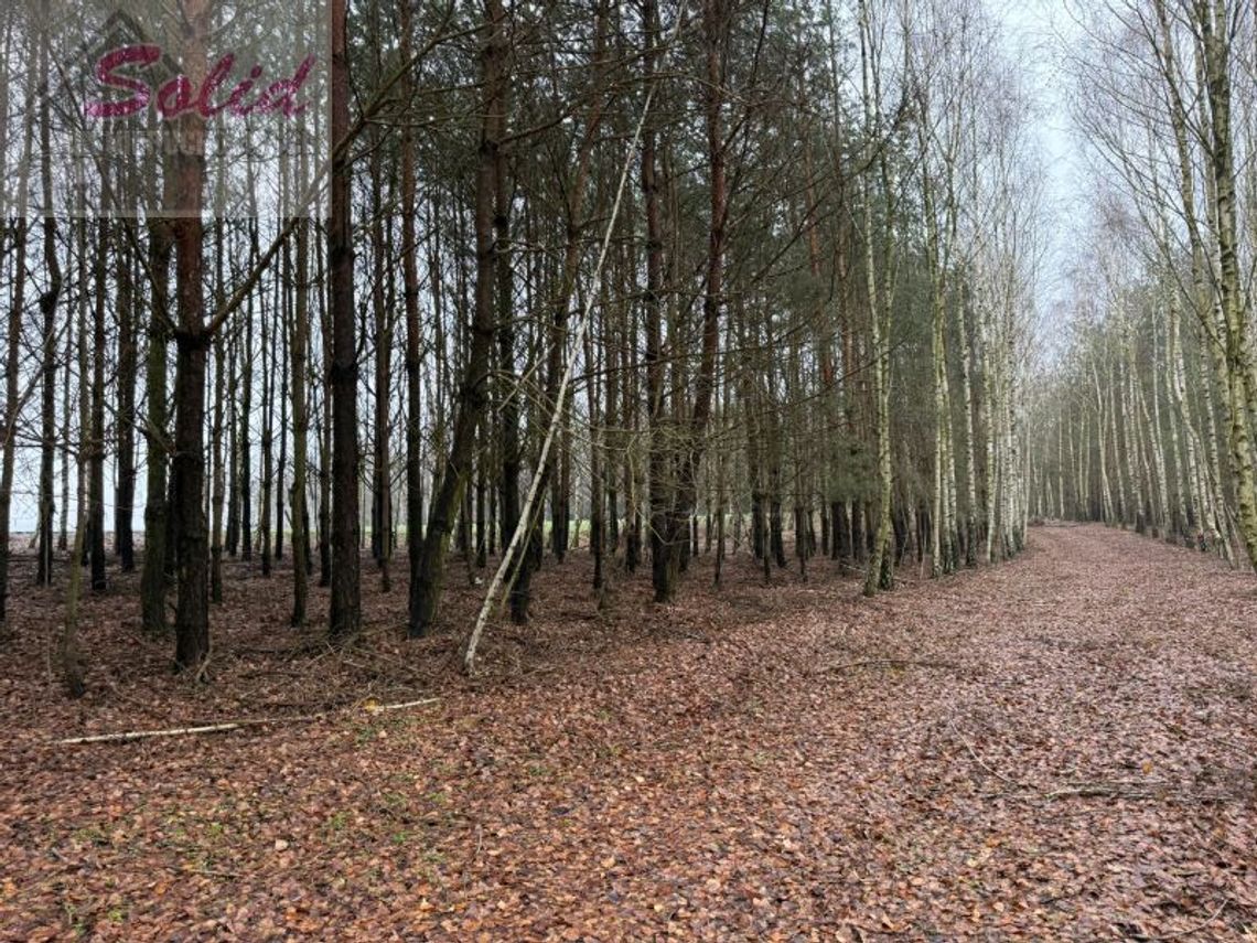 Atrakcyjna działka z warunkami zabudowy w spokojnej okolicy