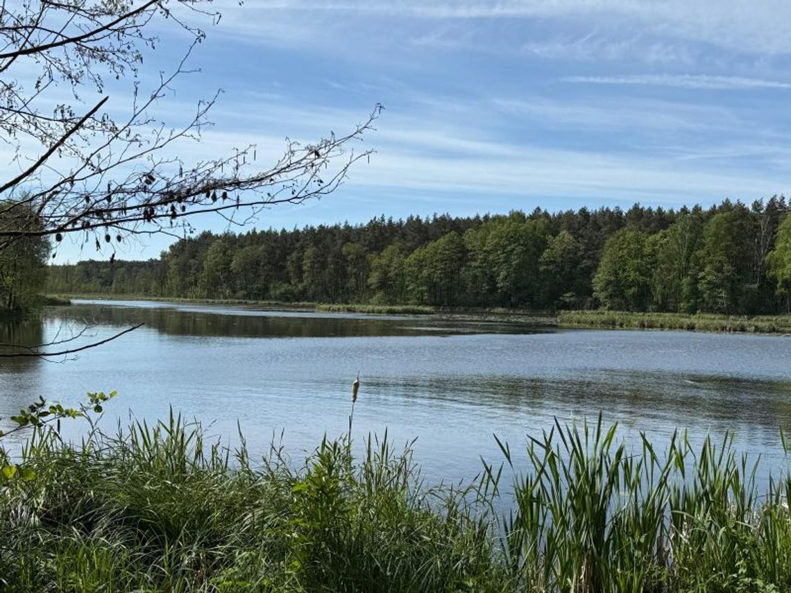 Dom do zamieszkania blisko jeziora!