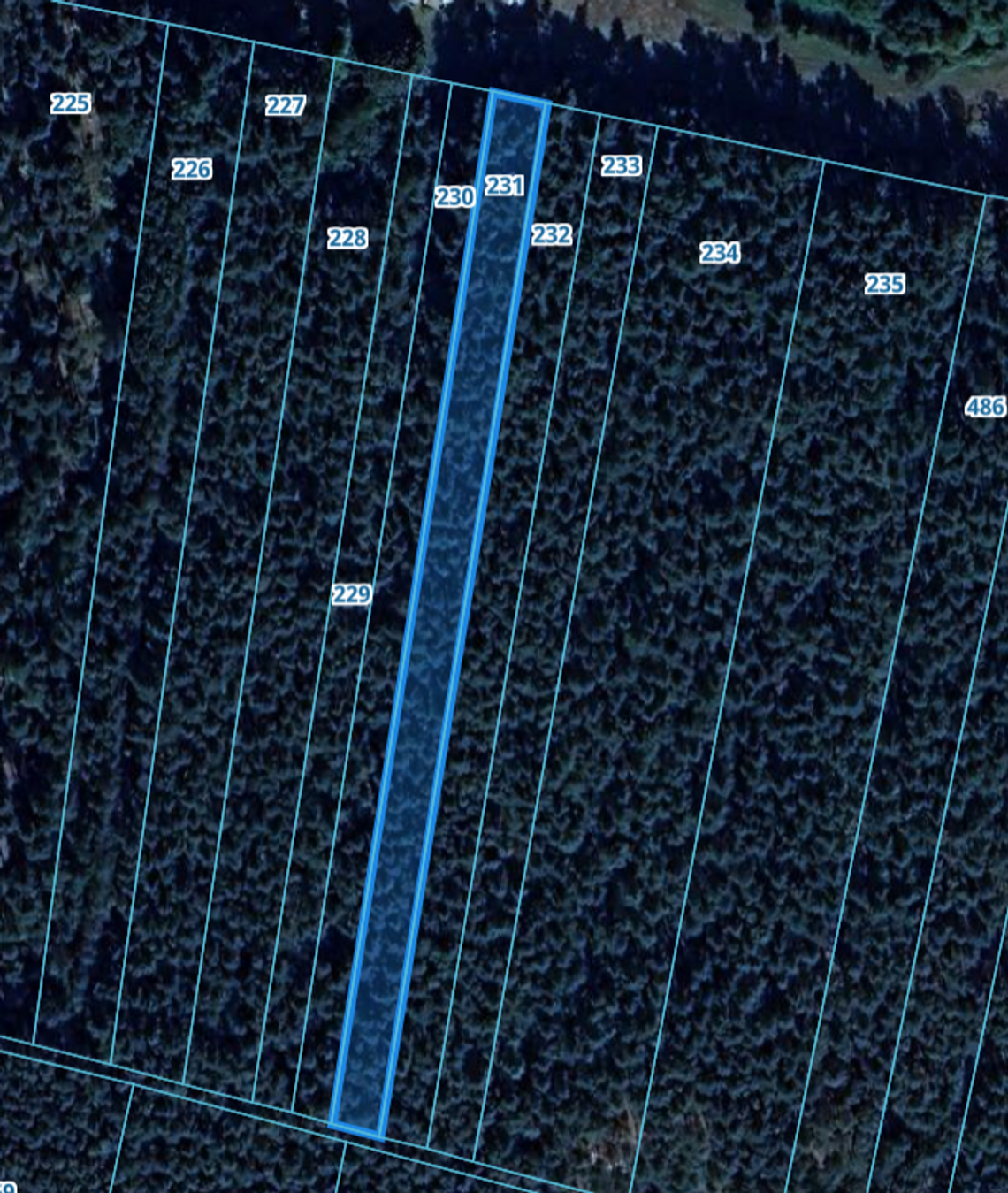 Las 2700 m2 w miejscowości Krzywie