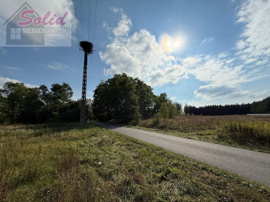 Piękna działka z warunkami zabudowy idealna pod zabudowę i inwestycję!