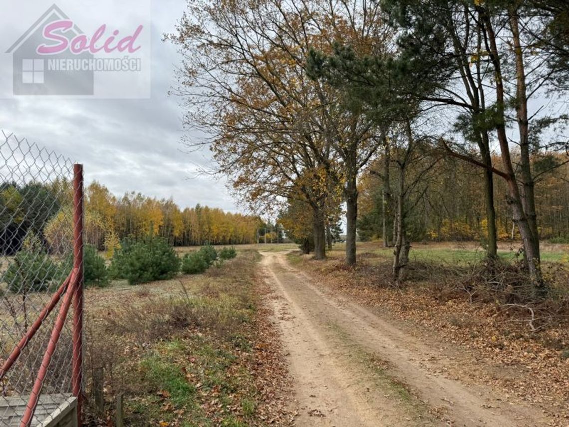 Urokliwa działka z możliwością zabudowy w otoczeniu lasów