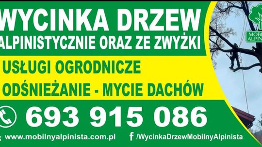 Alpinistyczna Wycinka Drzew Tarnów | Mobilny Alpinista | Usługi Ogrodnicze | Usługi Alpinistyczne