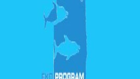 Eko program