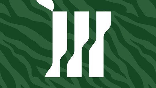 Hurtownia florystyczna - pm-m.pl Hurtownia florystyczna - pm-m.pl