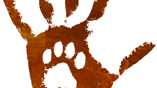 Kremacja zwierząt domowych Szczecin - BOK Pamiętaj o mnie krematorium