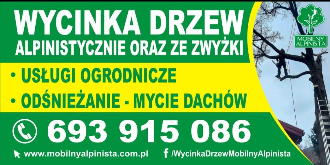 Alpinistyczna Wycinka Drzew Tarnów | Mobilny Alpinista | Usługi Ogrodnicze | Usługi Alpinistyczne